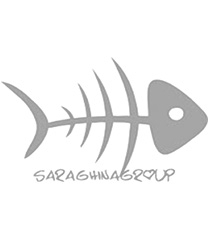 Saraghina Group